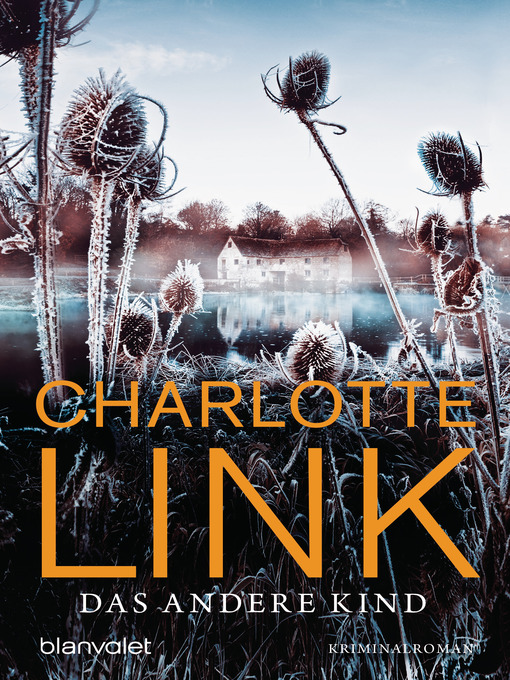 Cover image for Das andere Kind